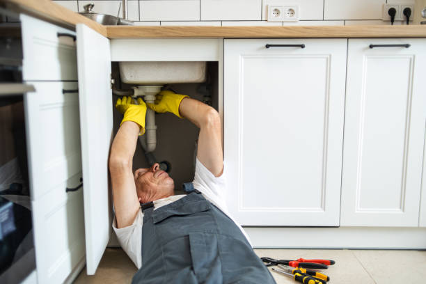 Best Septic Systems  in Palos Verdes Estates, CA